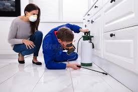 Best Residential Pest Control  in Barnhart, MO